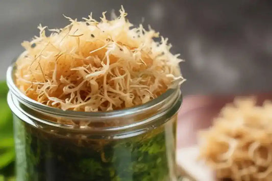 Is het veilig om elke dag sea moss te eten?