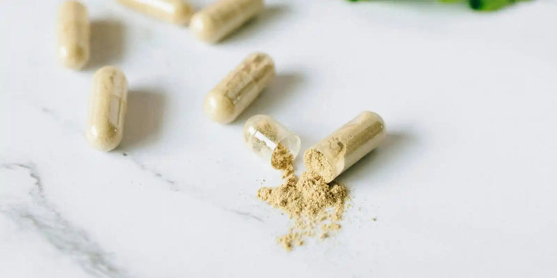 Sea Moss Poeder vs. Capsules: Welke Is Geschikt voor Jou?