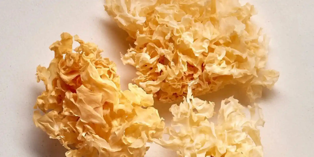 Wat is Sea Moss? Ontdek de 8 Onmiskenbare Voordelen!