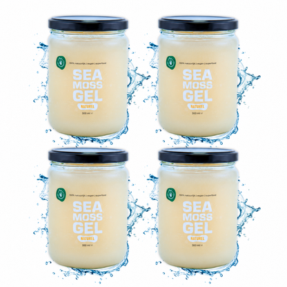 Sea Moss Gel Naturel Quadruple Pack (4x gel)