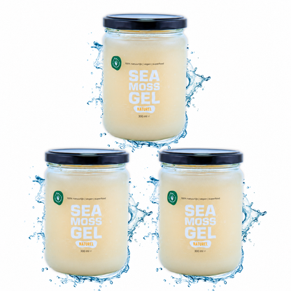 Sea Moss Gel Naturel Triple Pack (3x Gel)