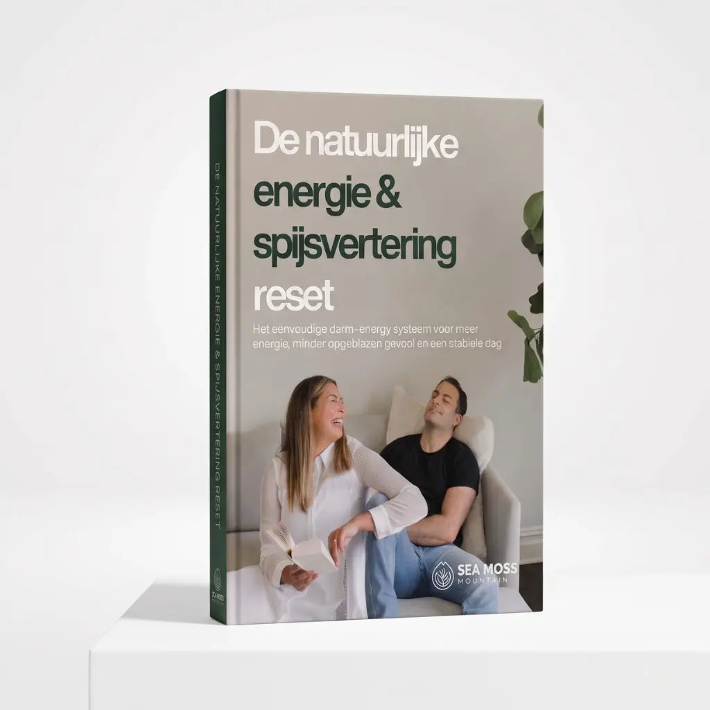 De natuurlijke energie & spijsvertering reset - Ebook