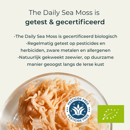 The Daily Sea Moss